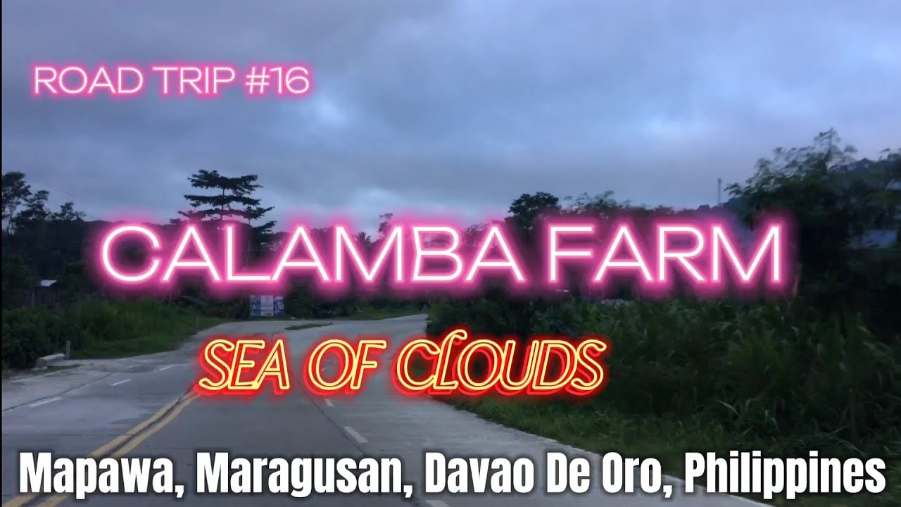 CALAMBA FARM SEA OF CLOUDS ROAD TRIP #16