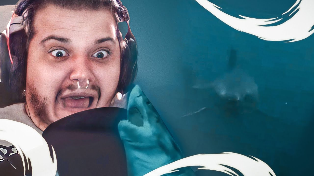 VIDEOS MEDONHOS DO FUNDO DO MAR