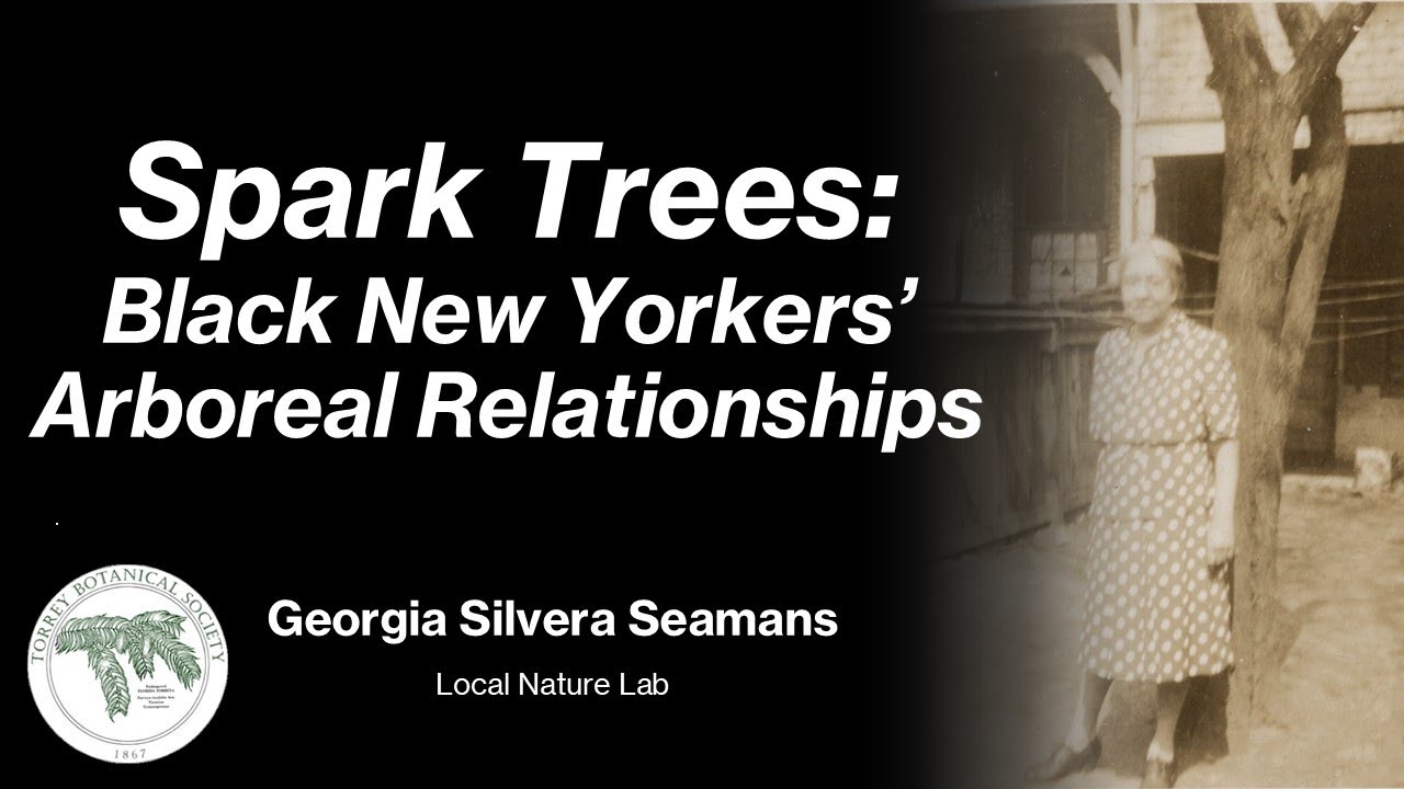 Spark Trees: Black New Yorkers' Arboreal Relationships