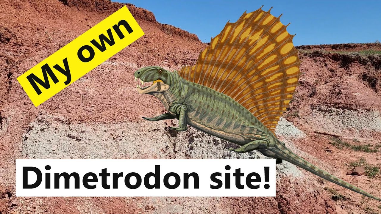 I found my first Dimetrodon site!