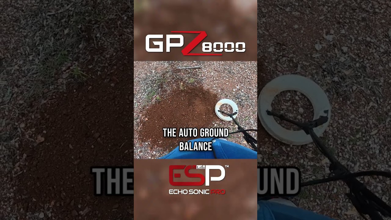 GPZ 8000 Echo Sonic Pro Audio