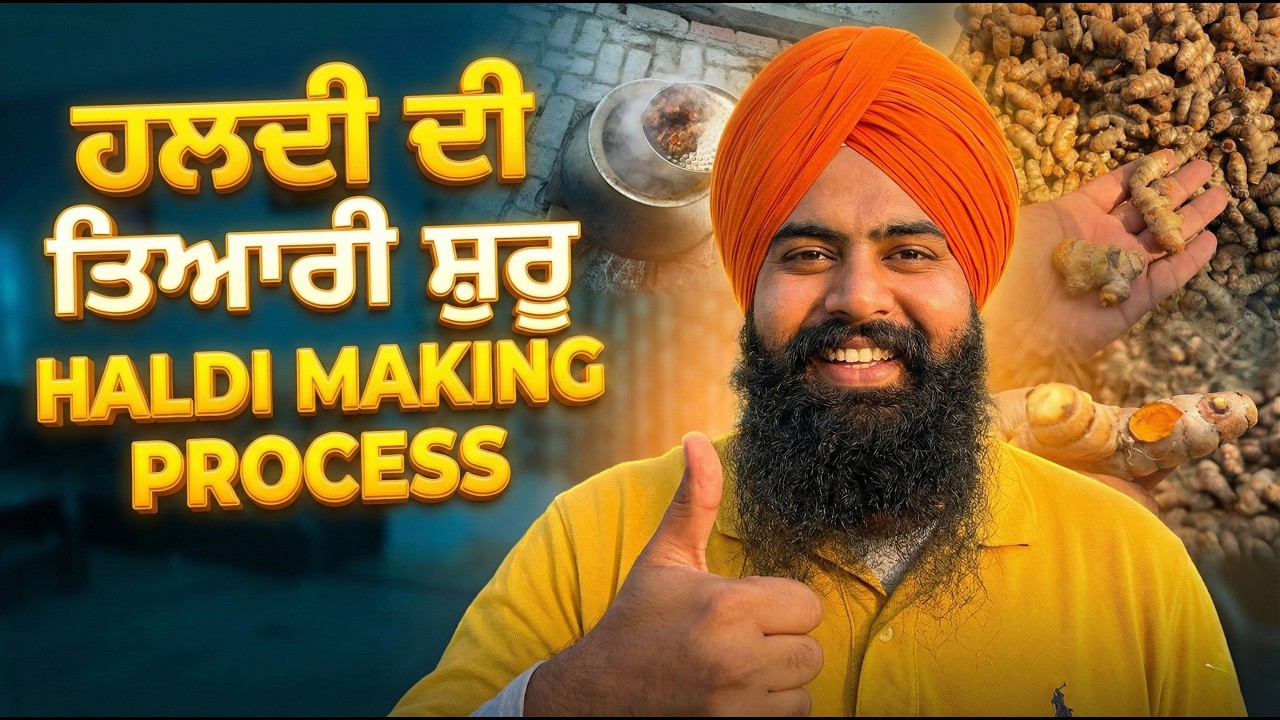 ਦੇਸੀ ਹਲਦੀ ਪਾਊਡਰ ਤਿਆਰ ਕਰਨ ਦਾ ਸਾਰਾ ਪ੍ਰੋਸੈਸ - JAGGI DHALIWAL