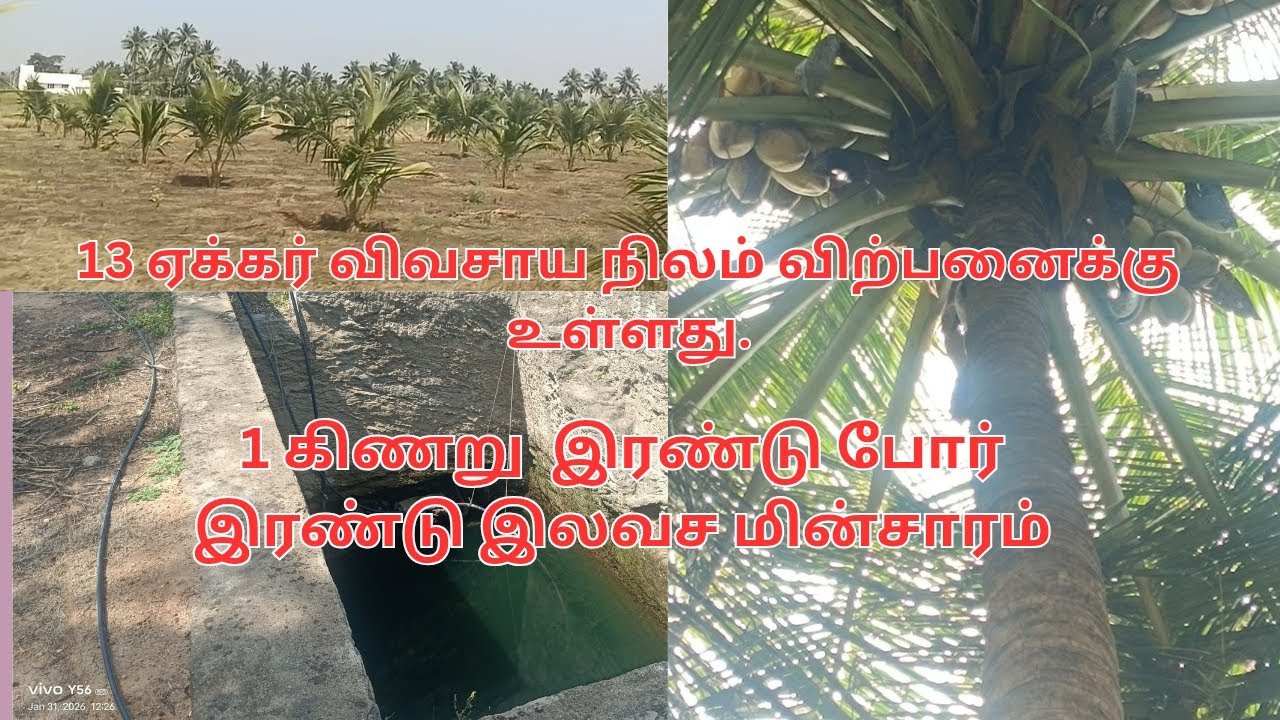 8248086875 திண்டுக்கல் மாவட்டம் ரெட்டியார்சத்திரம் அருகில் 13 ஏக்கர் விவசாய நிலம் விற்பனைக்கு.