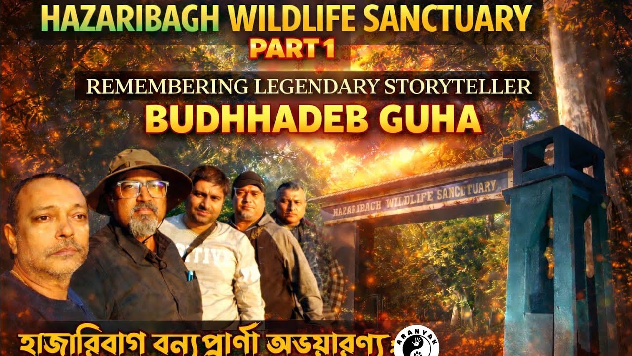HAZARIBAGH WILDLIFE SANCTUARY/হাজারিবাগ বন্যপ্রাণী অভয়ারণ্য/PART - 1/Rajderwa and Nature Trail