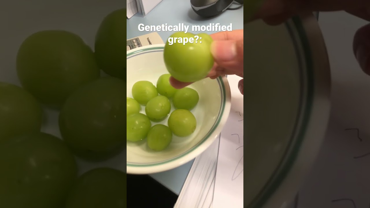 Genetically modified grape:  #shorts #fruits