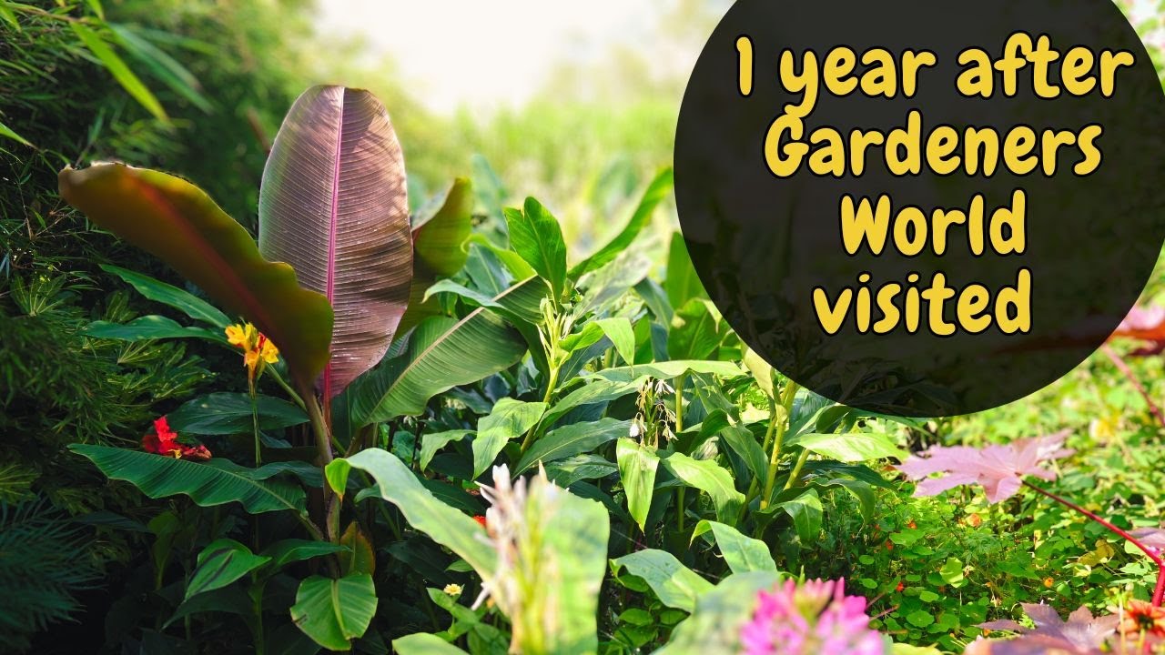 30 minute UK Exotic Garden SEPTEMBER Tour
