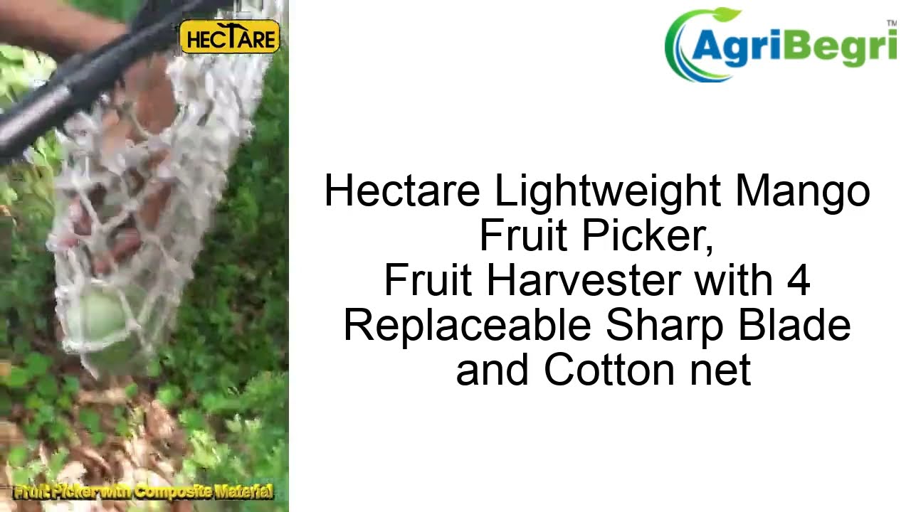 Agribegri | Hectare Lightweight Mango Fruit Picker, Fruit Harvester with 4 Replaceable Sharp Blade