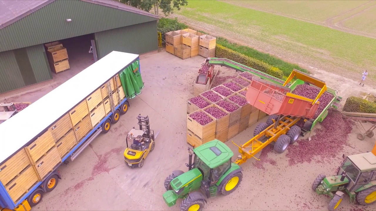 Uien oogst 2019 - Akkerbouwbedrijf Pals - Flying Movies