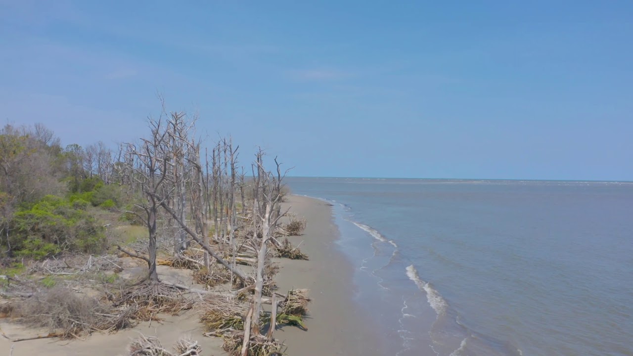 Santee Delta Promo