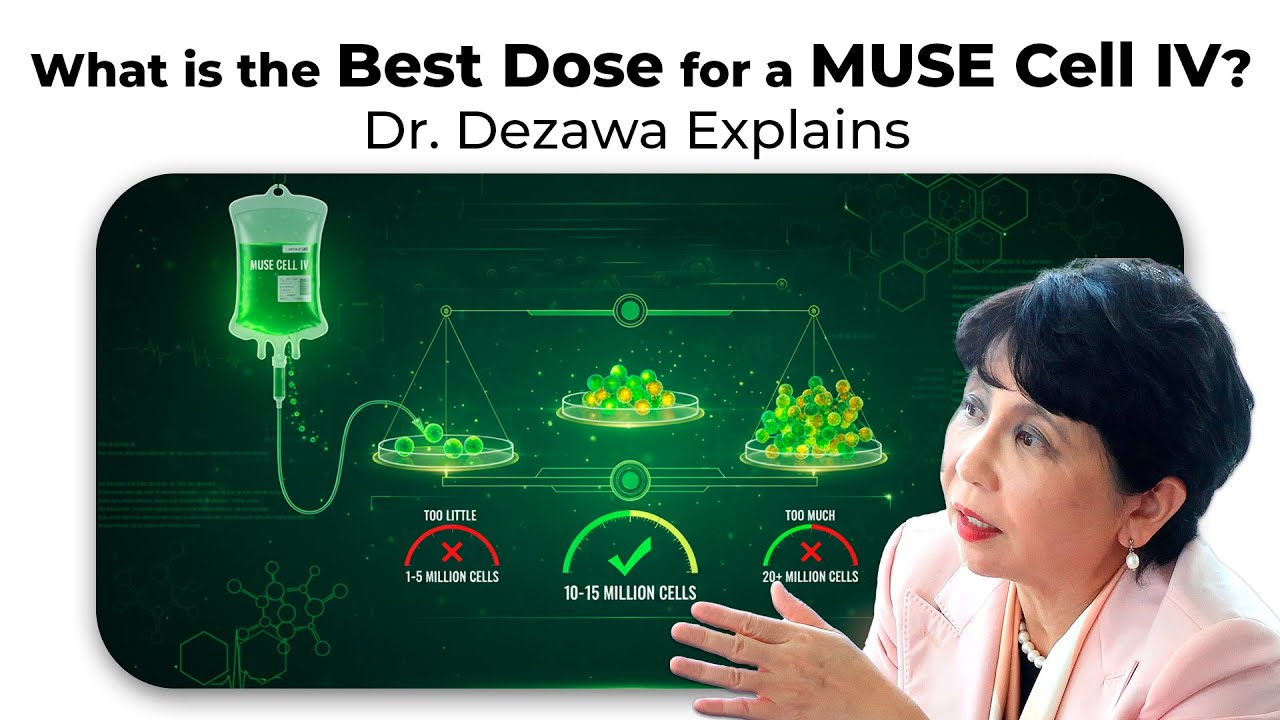 What is the Best Dose for a MUSE Cell IV? Dr. Dezawa Explains