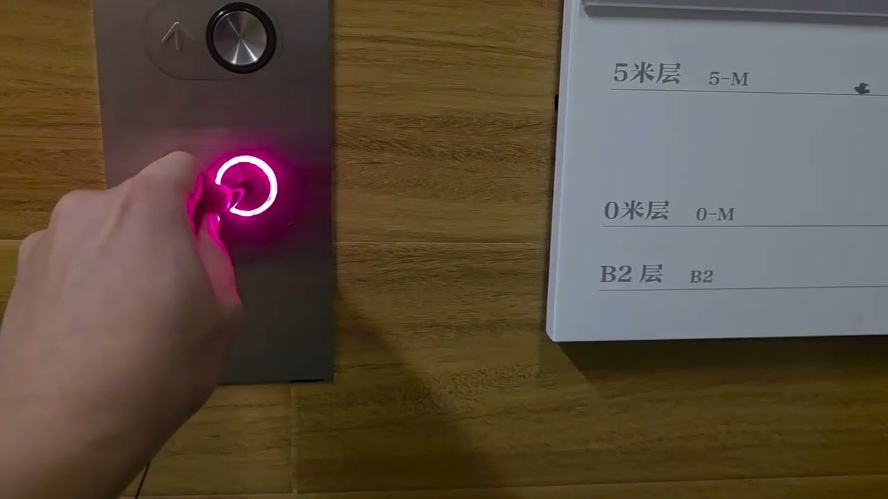 上海浦東新區中華藝術宮OTIS升降機