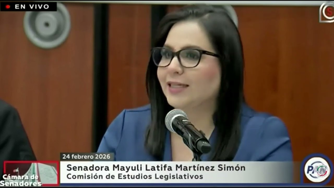 Senadora Mayuli Latifa Martínez Simón, al intervenir en la Comisión de Estudios Legislativos