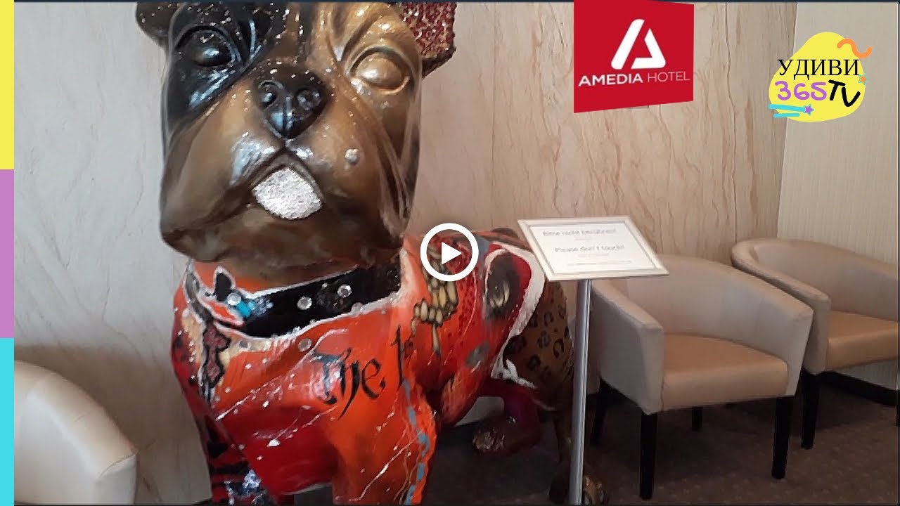 Обзор отеля в Дрездене AMEDIA HOTEL DRESDEN