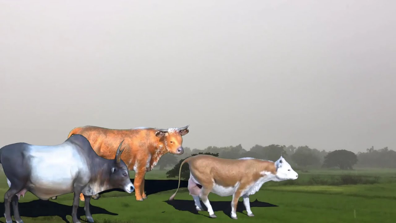 animal stampede 3