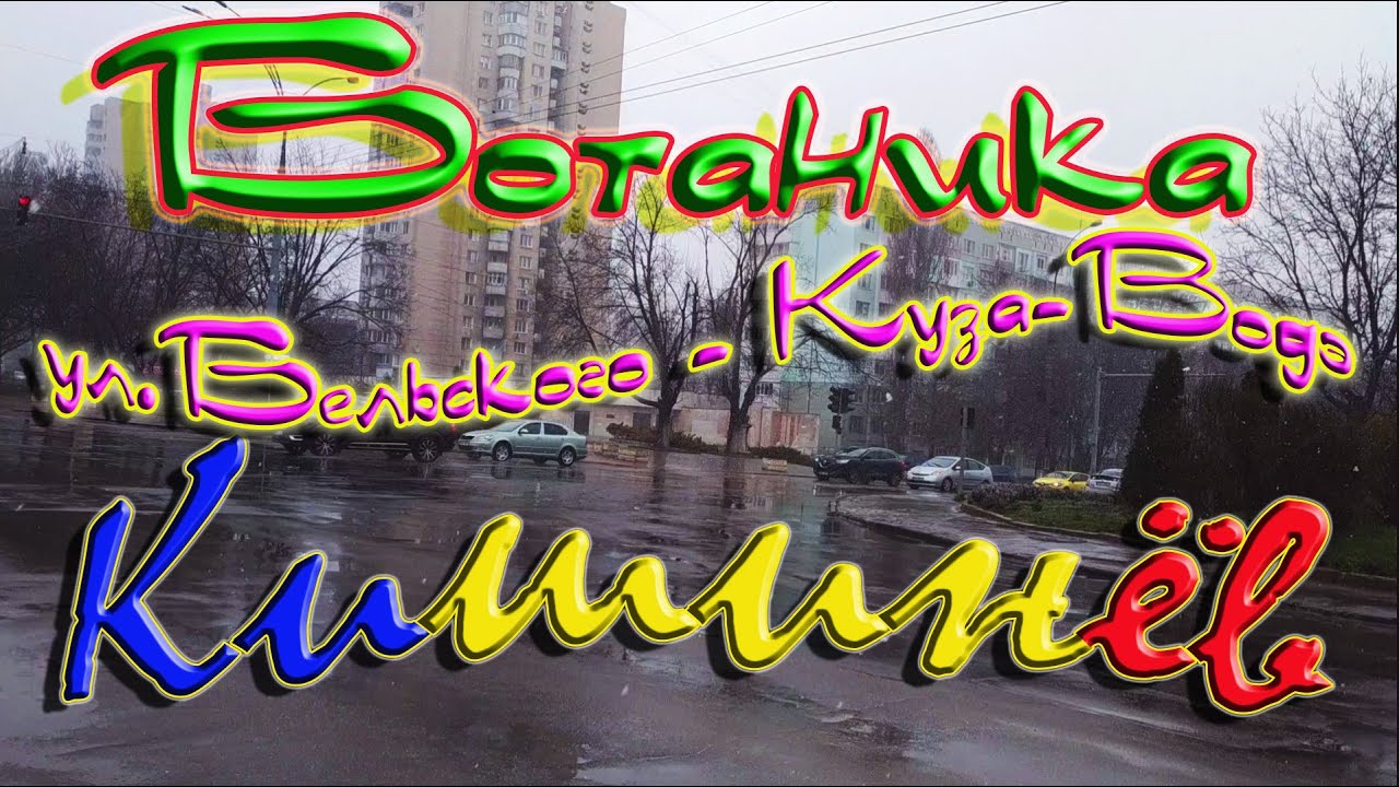 Кишинев Ботаника ул Бельского Куза-Водэ