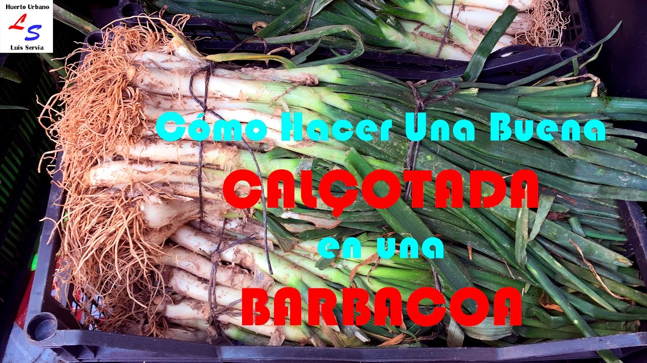 Calçotada y Emparrillada de Carne - Barbacoa - Leña y Sarmientos de Parras Huerto Urbano Luis Servia