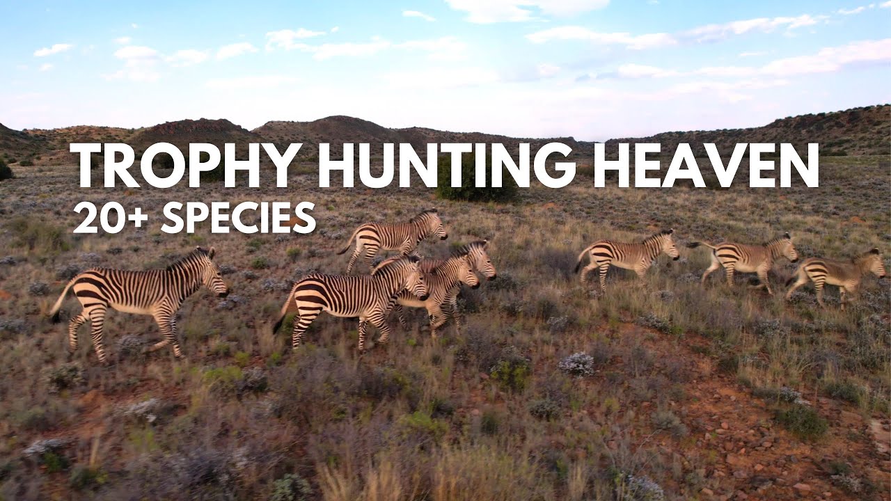 Crazy Trophy Hunting Experience! - Grasfontein, Northern Cape