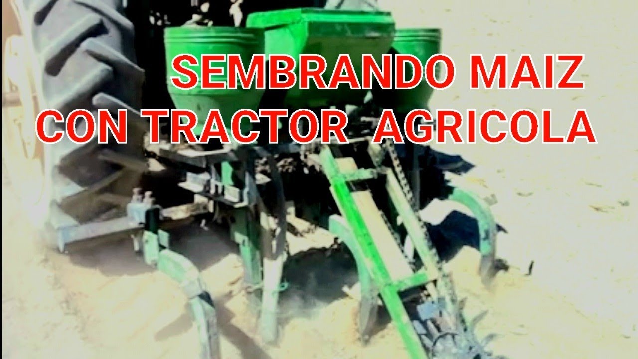SEMBRANDO EL MAIZ CON TRACTOR