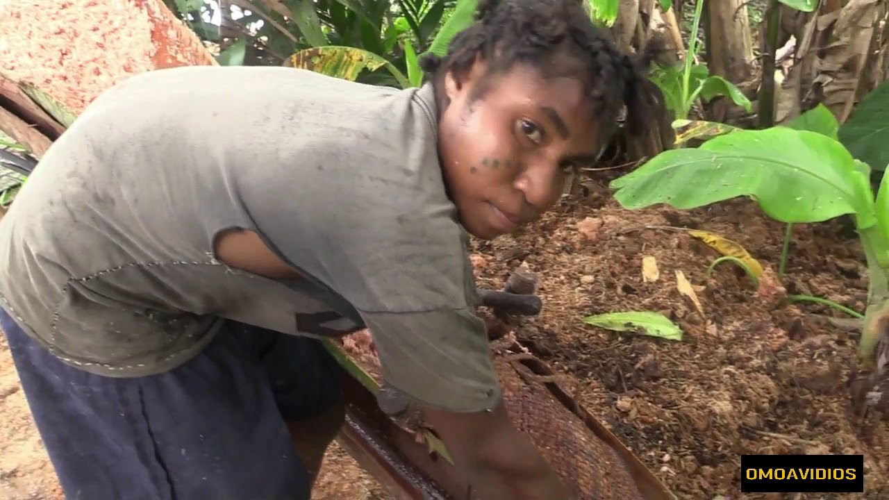 SAGO PROCESSING FULL NARRATED VIDEO..PURARI RIVER, PNG
