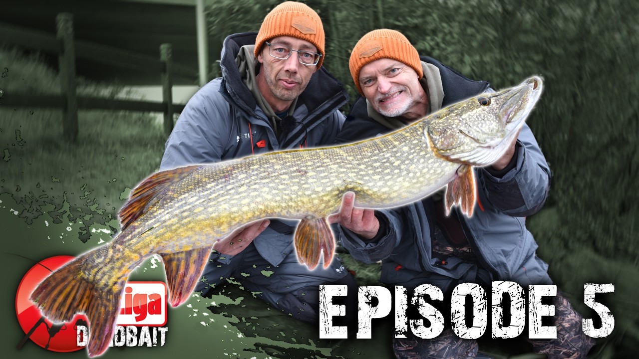 Eine Aufholjagd beginnt! 🔴 Profi Liga Deadbait, Episode 5