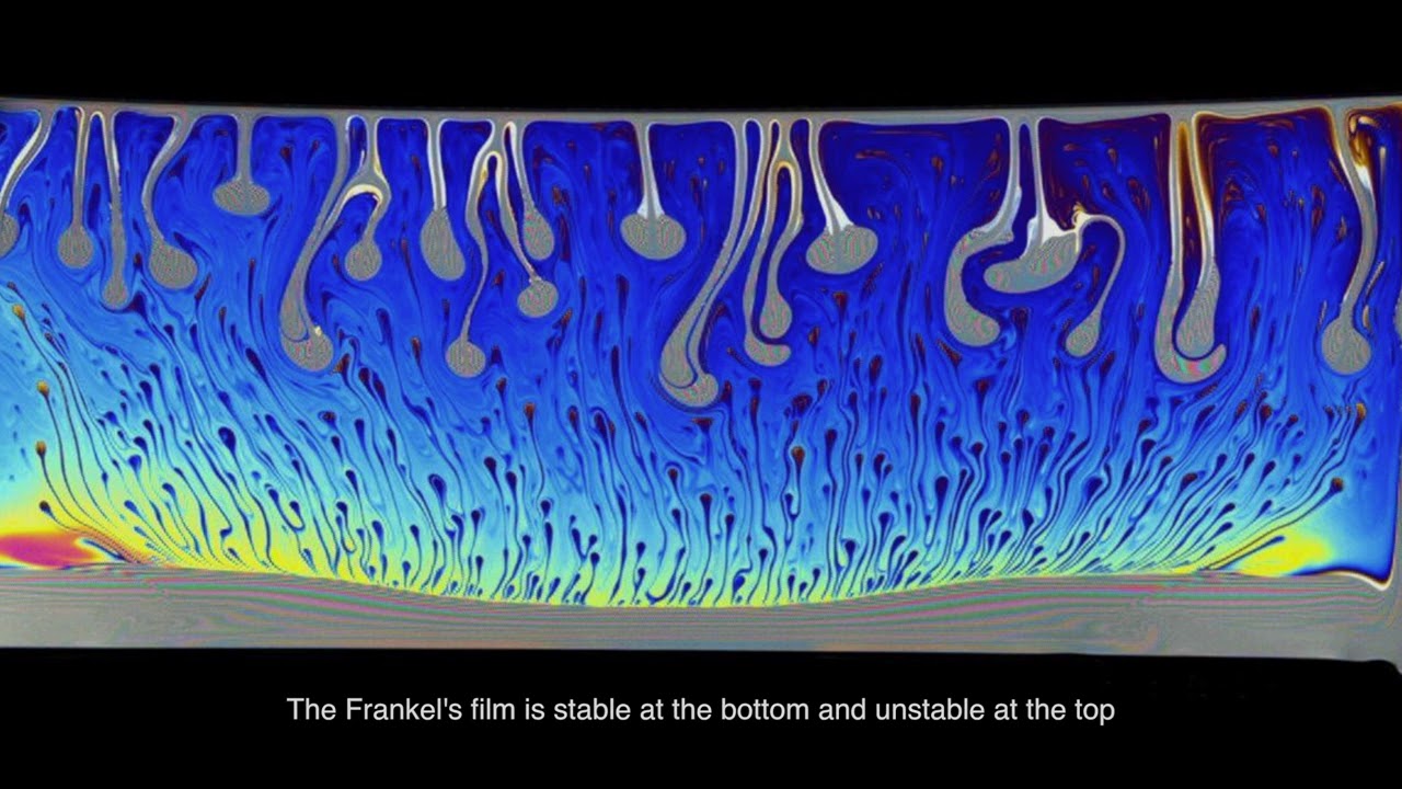 Rayleigh Taylor instability in a foam film