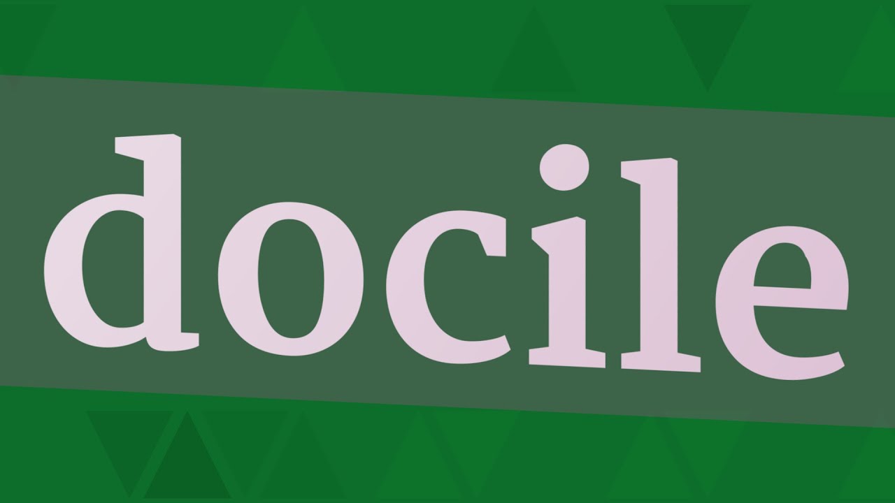 DOCILE pronunciation • How to pronounce DOCILE