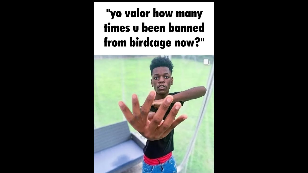My Last and Final Ban | Goodbye Forever, Birdcage.