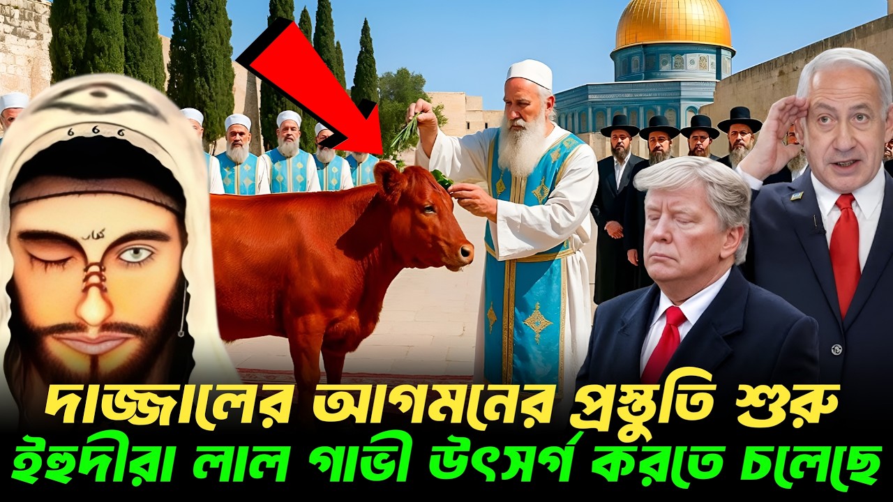 কুরআনে বর্নিত লাল গাভীর রহস্য: ২০০০ বছর পর কেন তোলপাড় বিশ্ব?