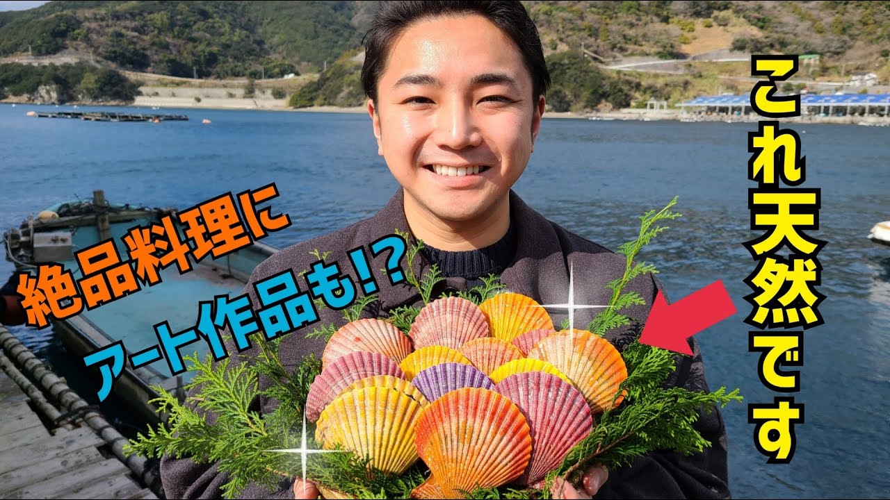 【映える貝！？】愛南町の特産“ヒオウギ貝”の魅力に迫る