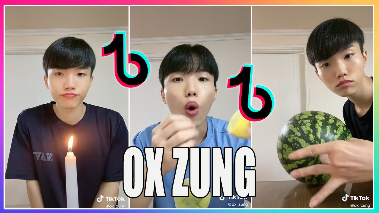 😂MELHORES TIKTOKS DO OX ZUNG TIKTOK #4 - (@ox_zung)