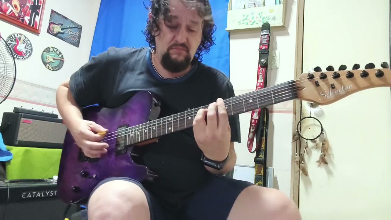 Shecter PT standard Purple Burst Burl