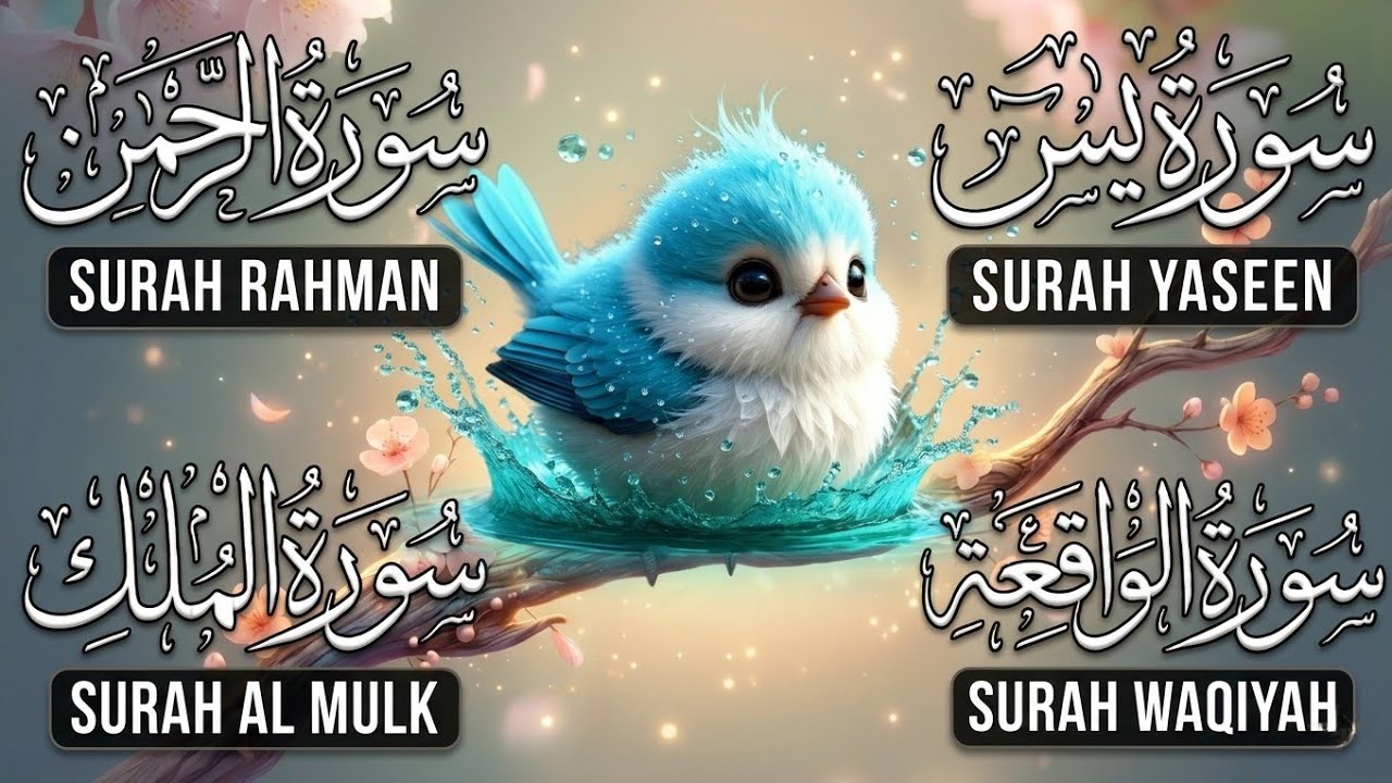 Very Nice Voice Surah Yaseen | Surah Rahman | Surah Waqiah | Surah Mulk l Reciter Mansoor Gaznavi 