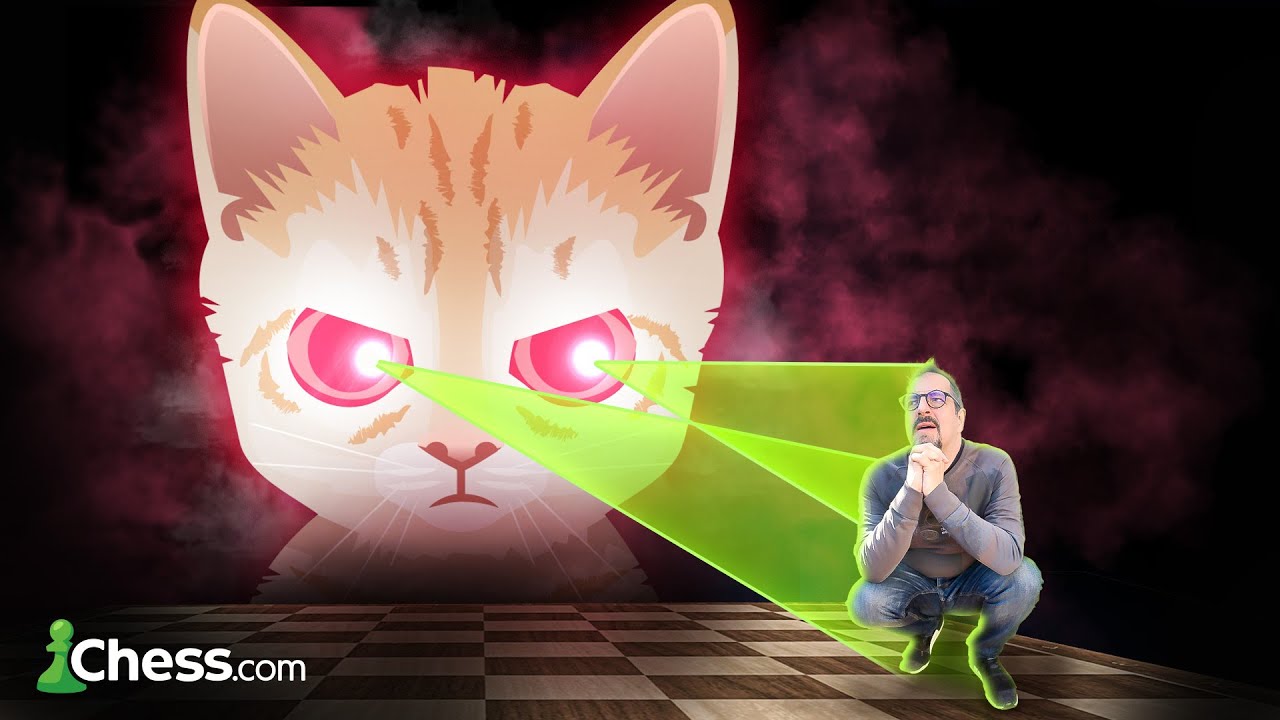 MITTENS no tiene PIEDAD 🤖 [Este gatucho me las pagará]