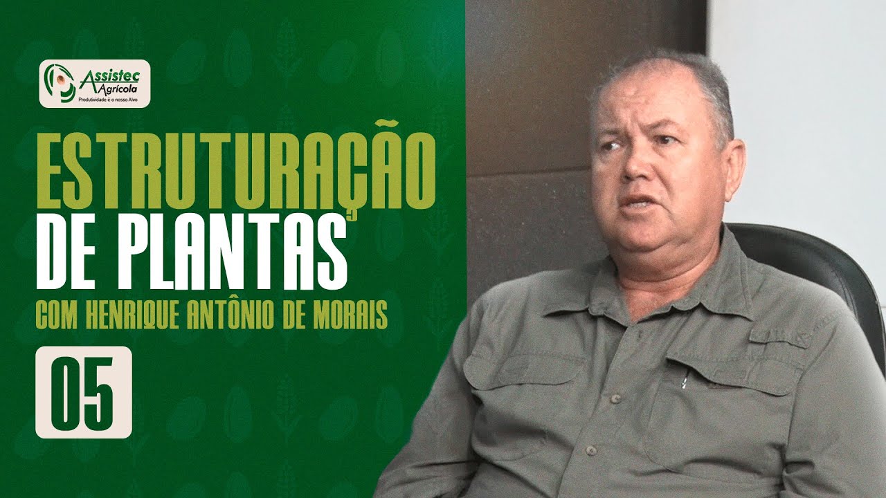#05 ESTRUTURAÇÃO DE PLANTAS COM HENRIQUE ANTÔNIO DE MORAIS | Assistec Podcast