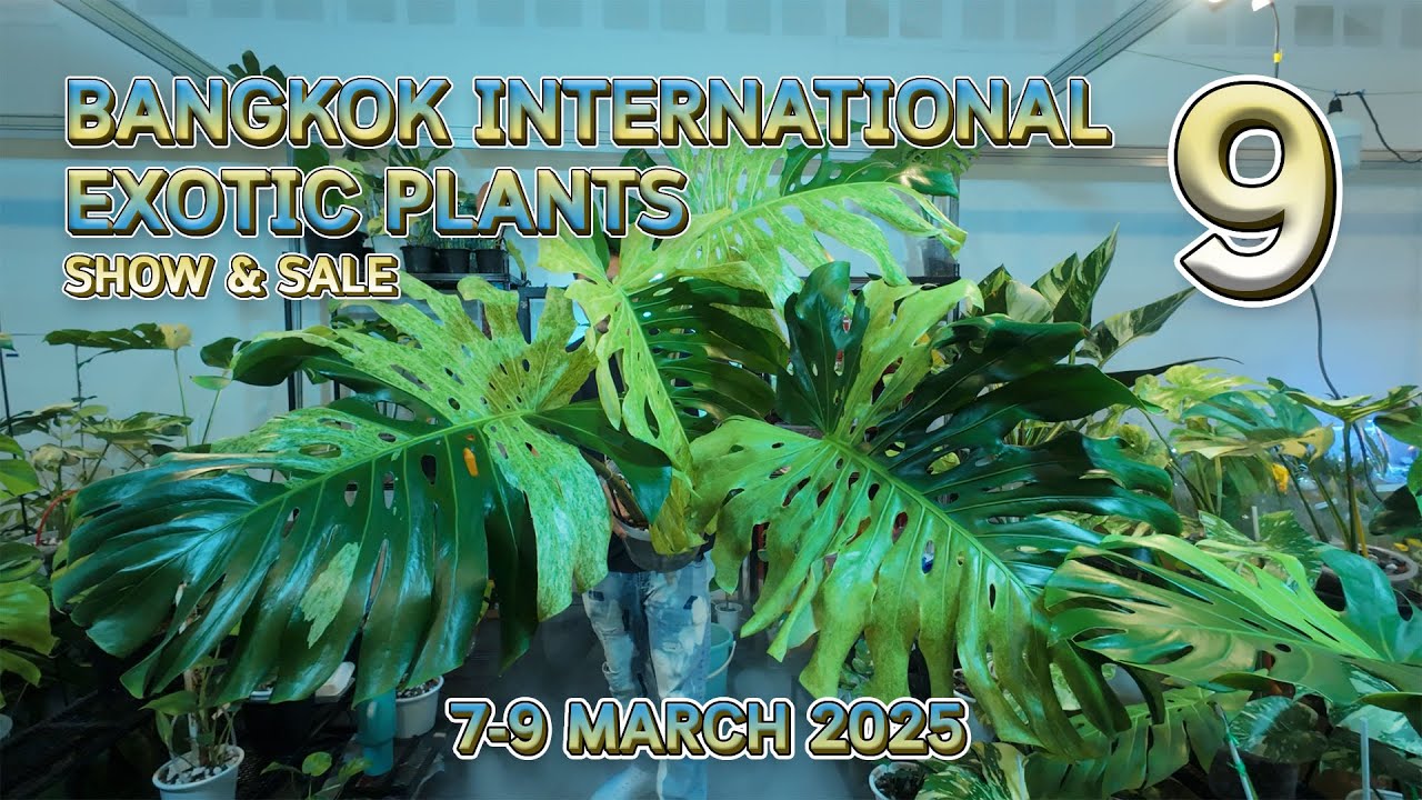 Bangkok International Exotic Plants Show and Sale 9 | 7-9 March 2025