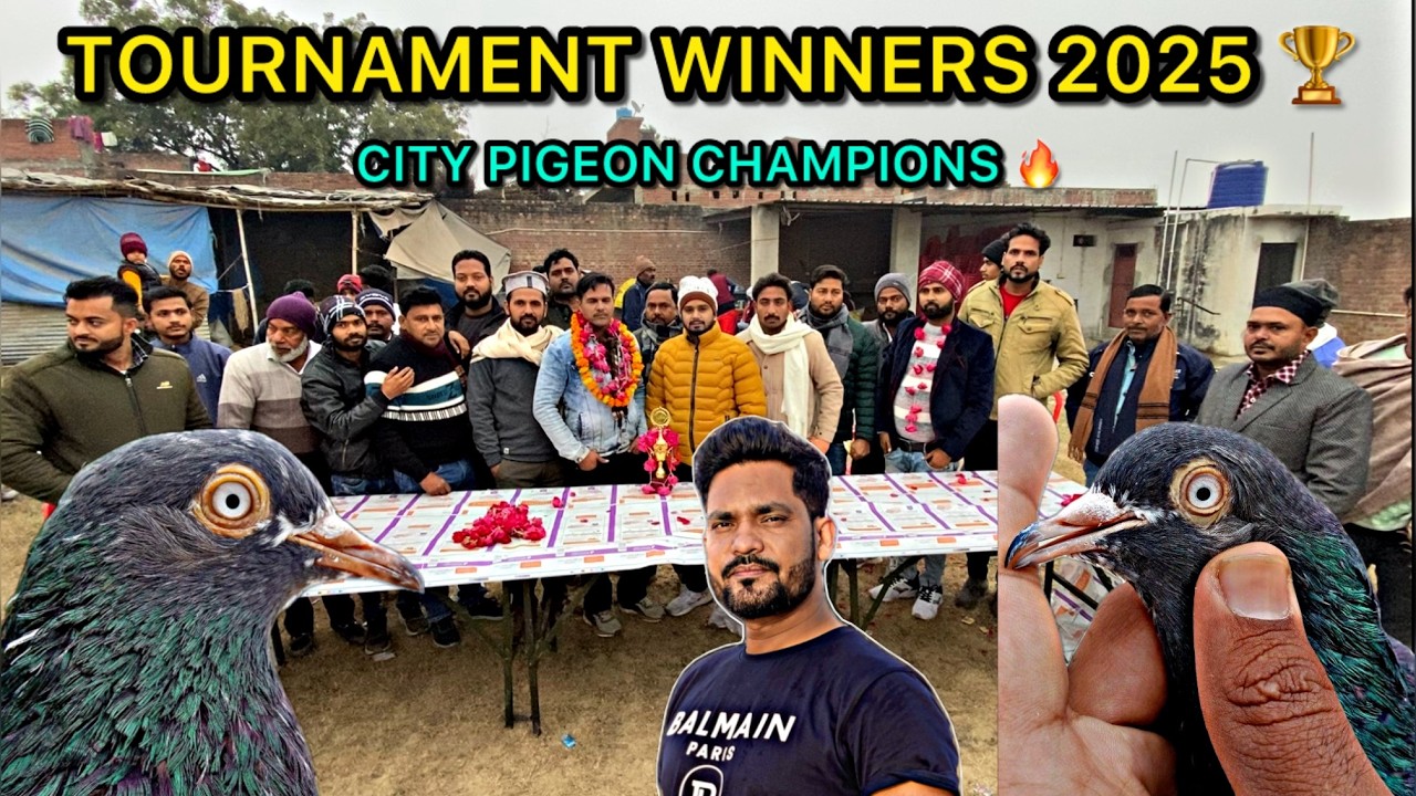 Pigeon Tournament 2025 🏆 | 3 Tournament Winners Announced | Prize & Trophy Distribution Ceremony