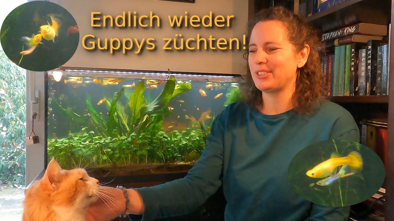 Männerbesuch bei den blonden Ladies!