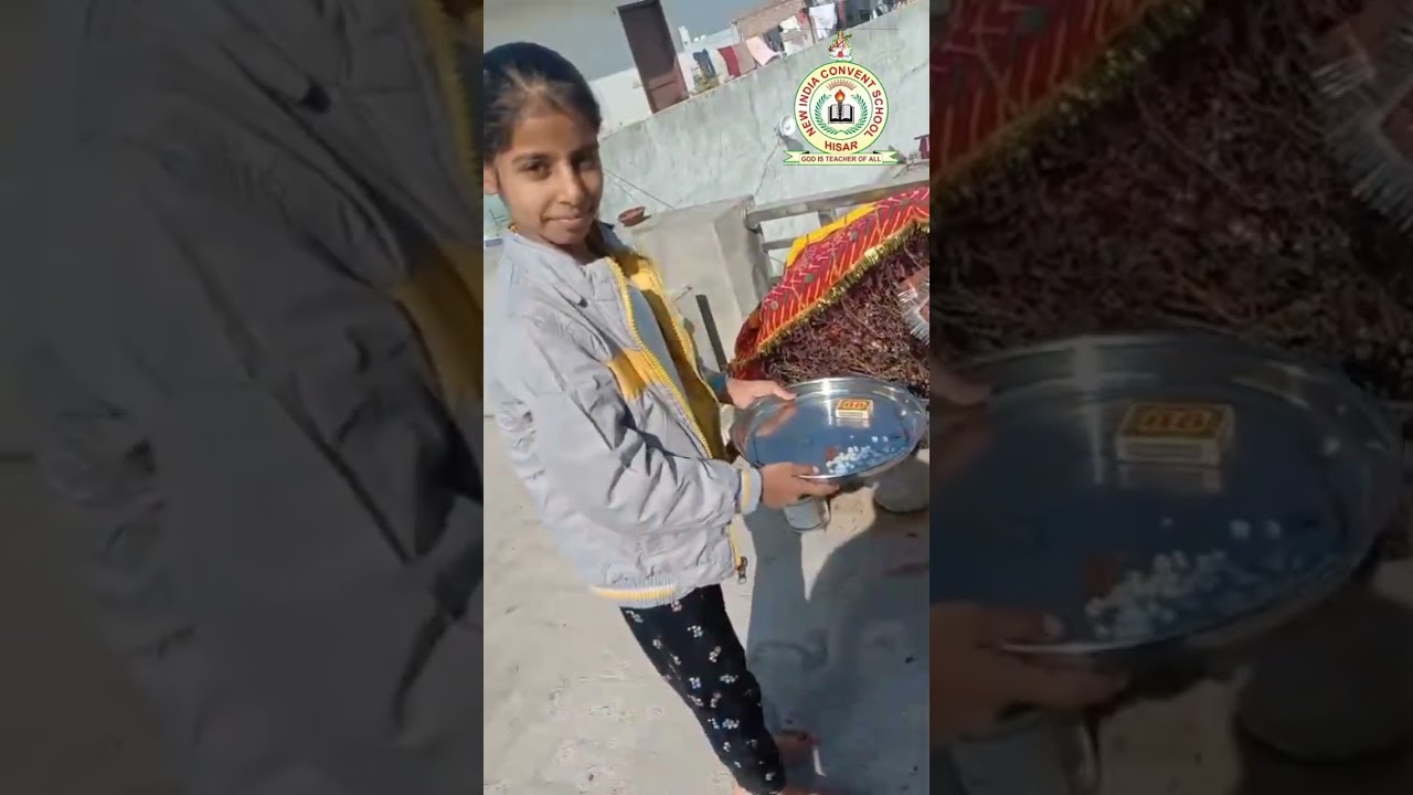 Tulsi poojan in new India Convent School Mirzapur 