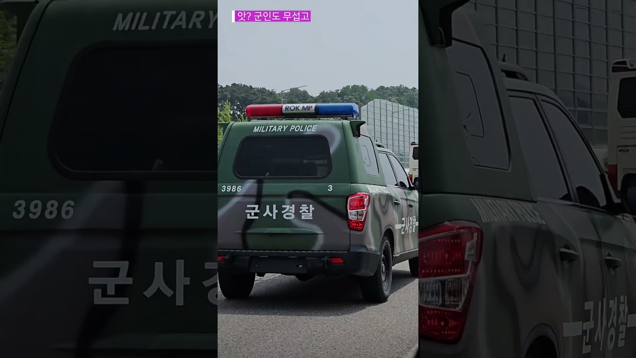 군인보다 경찰보다 더 무서운차 발견_나만 몰랐네,알고보니 헌병의 새이름