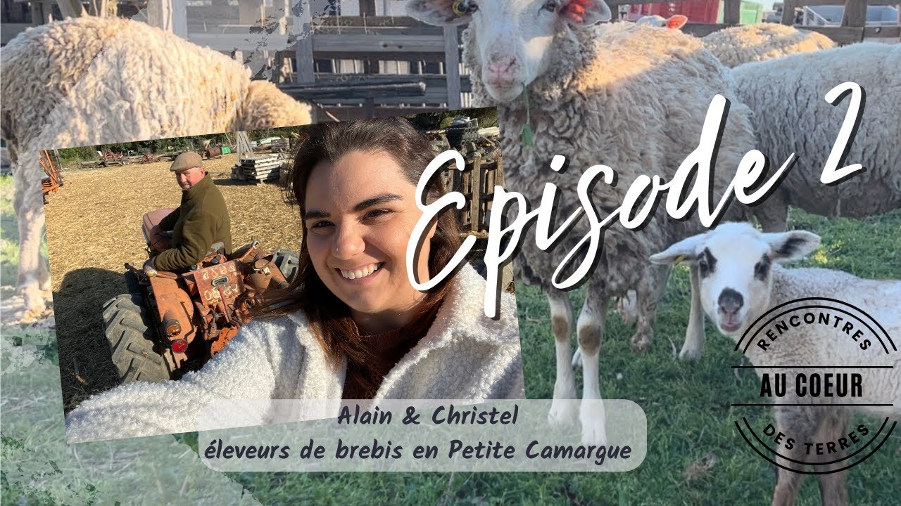 RENCONTRES AU COEUR DES TERRES : EP 2 / CHEZ ALAIN & CHRISTEL ELEVEUR DE BREBIS EN PETITE CAMARGUE !