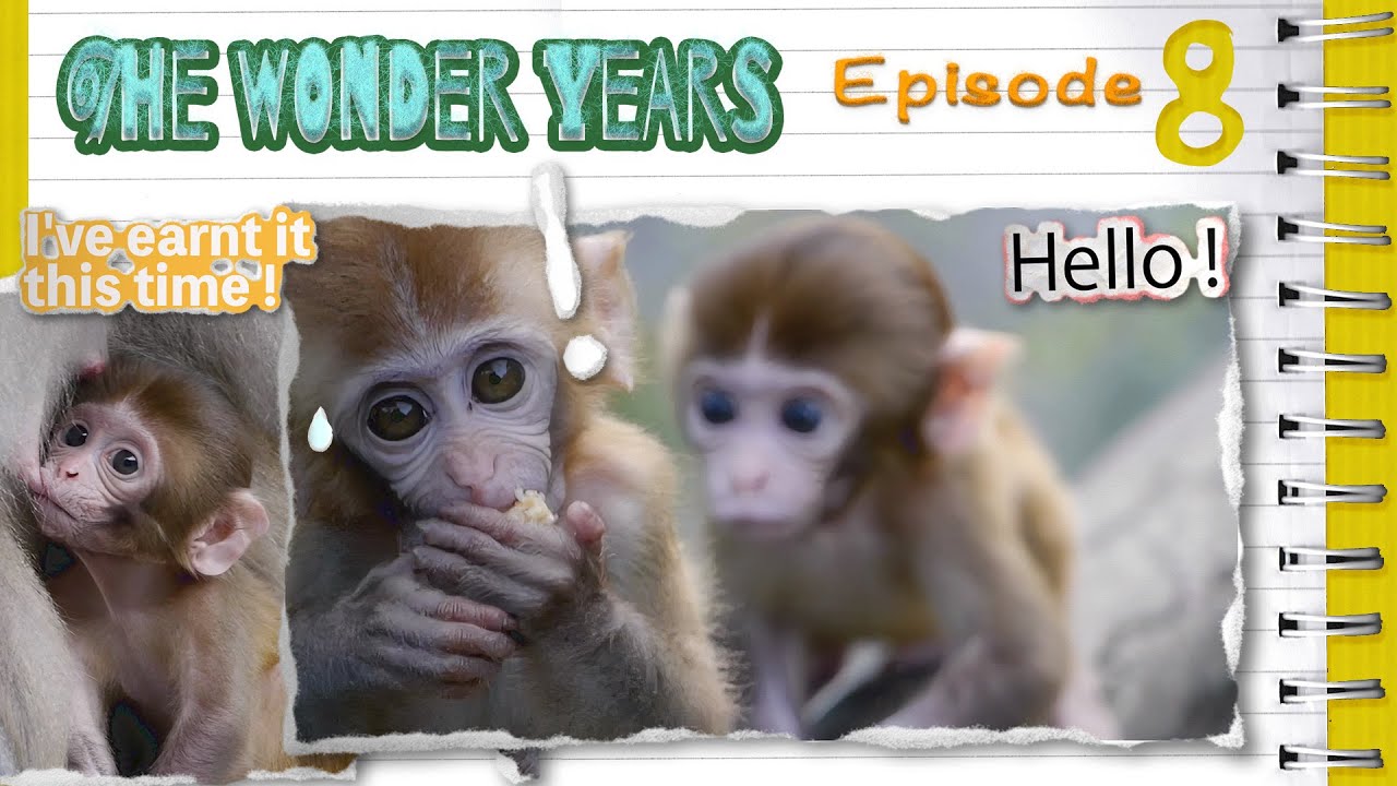 The Wonder Years - Episode 8 : Dopey's first breakthrough 😇