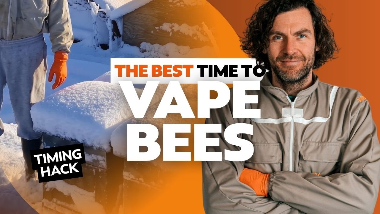 When To Vape Bees With Oxalic Acid – Timing Your Treatment For Maximum Varroa Drop
