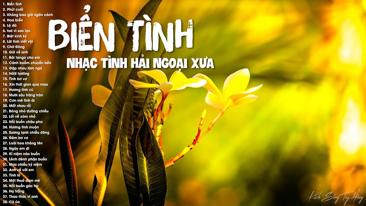 Biển Tình, Phút Cuối - 38 Bài Nhạc Tình Hải Ngoại Xưa Nghe Xao Xuyến Khôn Nguôi