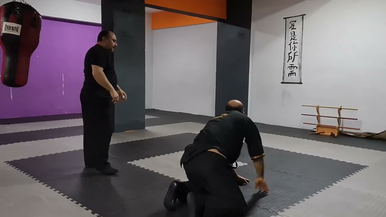 #combatbujutsu #aikijutsu #combataikijutsu #kenpo#aikido#silat #koppojutsu#kansetsuwaza #boks#güreş