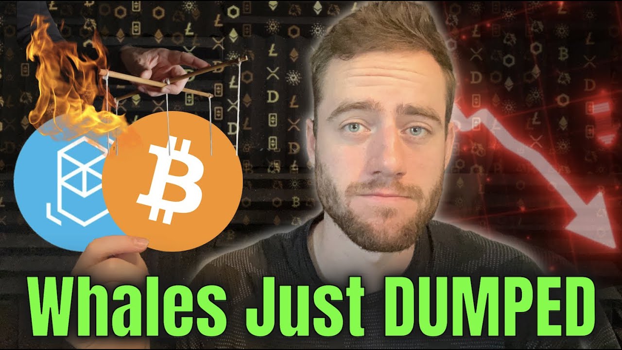 FANTOM Just CRASHED! WHALES ARE SNIPING YOUR CRYPTO!