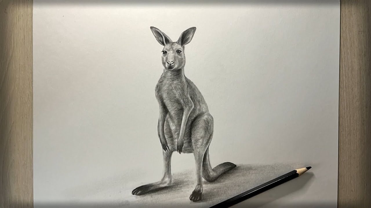 Cómo dibujar un Canguro realista|Рисуем Кенгуру|Kangaroo
