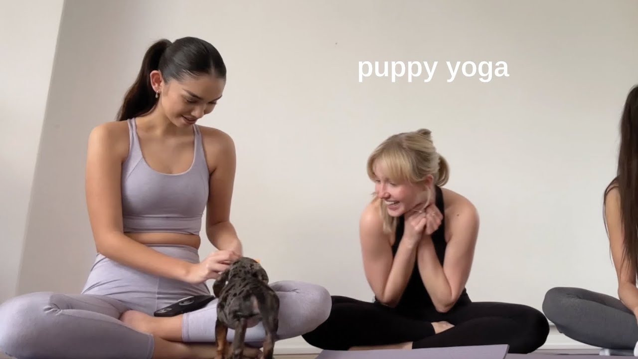 puppy yoga in london