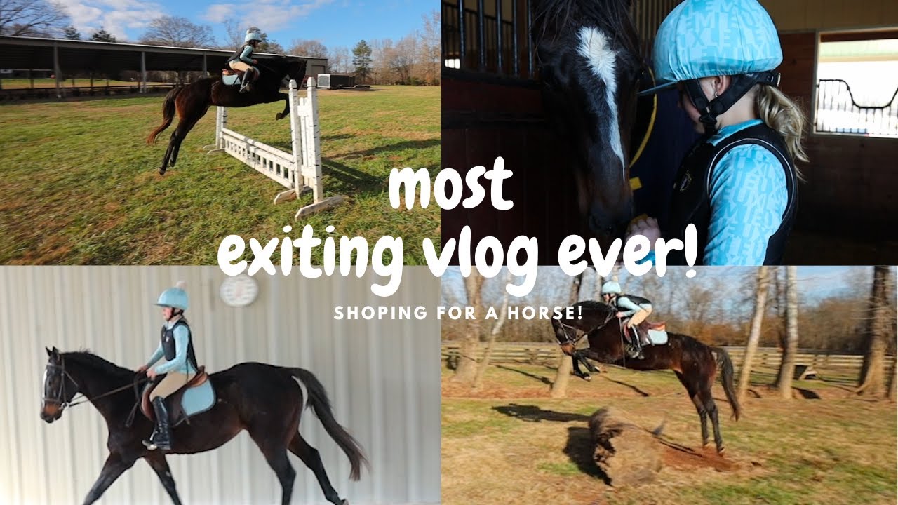 Shoping for a horse!/most exiting vlog yet!
