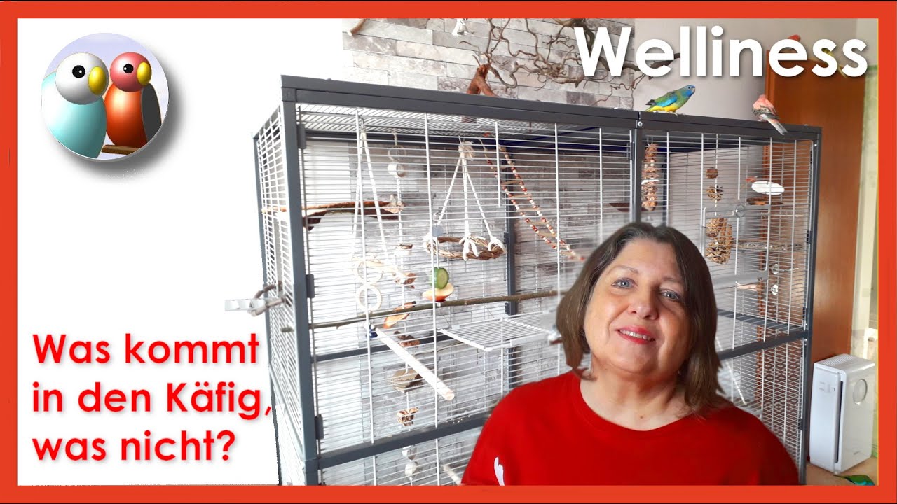 Wie richtest du deinen Wellensittich Käfig ein? Die richtige Wahl treffen!