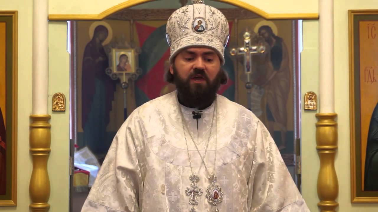 О жизни до и после смерти